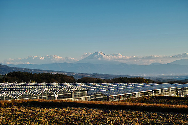 포토 JPG 주간 구름 자연 하늘 산 풍경 사람없음 야외 농촌 국내포토 자연요소 시골 생태계 파일형식