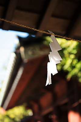 포토 JPG 주간 종이 일본문화 사람없음 야외 아웃포커스 일본 끈 일본전통 미신 오미쿠지 국내포토 자연요소 동양문화 전통 아시아 외국문화 촬영기법 파일형식