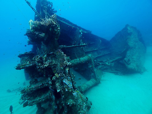 포토 JPG 바다 자연 어류 사람없음 바닷속 난파선 국내포토 배_교통 수중 수중동물 생태계 파일형식