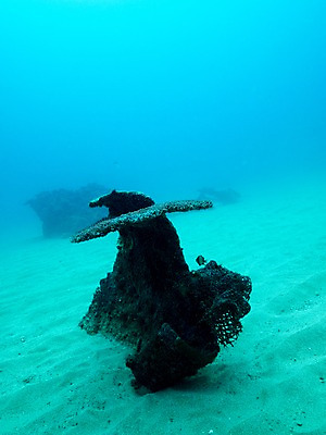 포토 JPG 모래 바다 자연 사람없음 바닷속 난파선 국내포토 배_교통 수중 생태계 파일형식