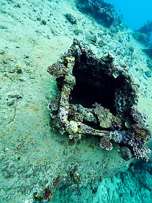 포토 JPG 바다 자연 사람없음 바닷속 난파선 국내포토 배_교통 수중 생태계 파일형식