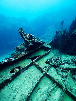 포토 JPG 바다 자연 사람없음 바닷속 바위 난파선 국내포토 배_교통 수중 돌_바위 생태계 파일형식