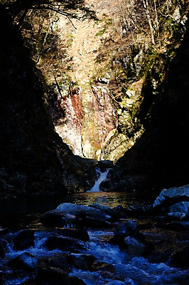 포토 JPG 주간 나무 풍경 사람없음 야외 계곡 폭포 돌 바위 숲 물흐름 국내포토 자연요소 식물 자연 흐름 돌_바위 파일형식