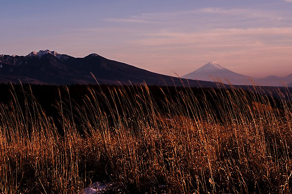 포토 JPG 주간 구름 자연 하늘 산 갈대 풍경 사람없음 야외 노을 만년설 국내포토 자연요소 식물 생태계 파일형식