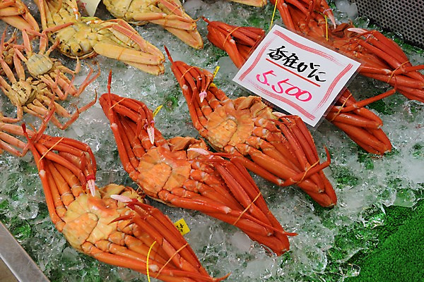 포토 JPG 음식 사람없음 판매 얼음 게 가격 해산물 가격표 국내포토 자연요소 갑각류 파일형식