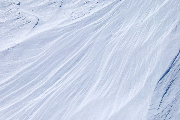 포토 JPG 주간 백그라운드 겨울 자연 사람없음 야외 설원 눈 국내포토 자연요소 계절 날씨 눈_날씨 생태계 파일형식
