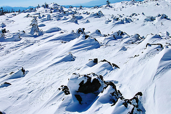 포토 JPG 주간 겨울 자연 풍경 사람없음 야외 설원 눈 겨울풍경 국내포토 자연요소 계절 날씨 눈_날씨 생태계 파일형식