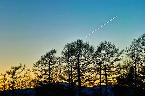 포토 JPG 주간 나무 실루엣 자연 하늘 풍경 사람없음 야외 노을 비행운 국내포토 자연요소 식물 촬영기법 생태계 파일형식 구름_자연