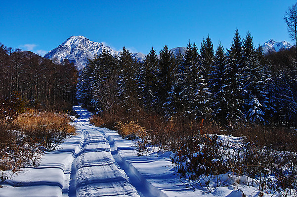 포토 JPG 주간 나무 겨울 자연 하늘 산 풍경 사람없음 야외 눈 숲 오솔길 겨울풍경 국내포토 자연요소 식물 계절 길 날씨 생태계 파일형식