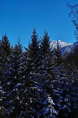 포토 JPG 주간 나무 겨울 자연 하늘 산 풍경 사람없음 야외 눈 숲 겨울풍경 국내포토 자연요소 식물 계절 날씨 생태계 파일형식