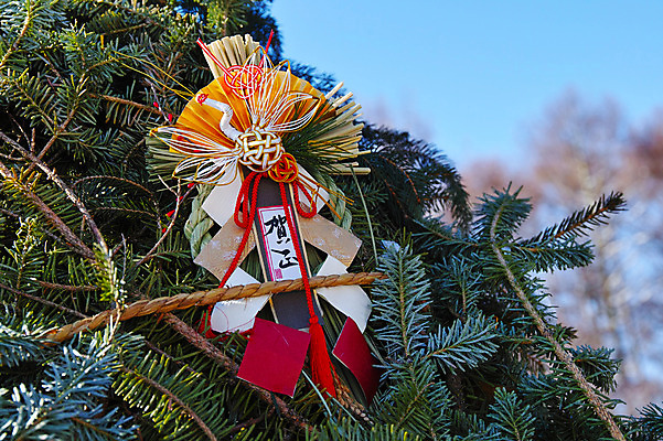 포토 JPG 주간 나무 일본문화 사람없음 야외 일본 일본전통 미신 국내포토 자연요소 식물 동양문화 전통 아시아 외국문화 파일형식