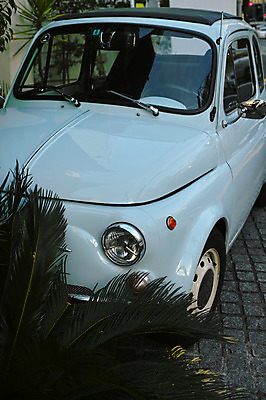 포토 JPG 주간 자동차 사람없음 야외 소철 국내포토 자연요소 육상교통 파일형식