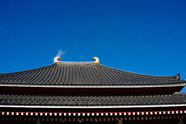 포토 JPG 주간 건축물 고건축 하늘 지붕 기와 사람없음 야외 도쿄 일본건축 국내포토 자연요소 건축 일본 동양건축 파일형식