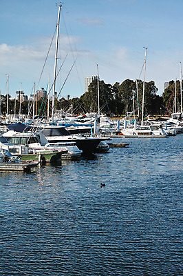 포토 JPG 주간 나무 구름 하늘 풍경 빌딩 사람없음 야외 항구 정박 선박 국내포토 자연요소 식물 수상교통 배_교통 교통시설 건물 파일형식
