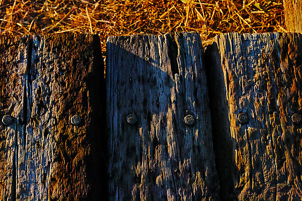 포토 JPG 주간 나무 사람없음 야외 목재 나뭇결 일몰 못 국내포토 자연요소 식물 재료 노을 공구 파일형식