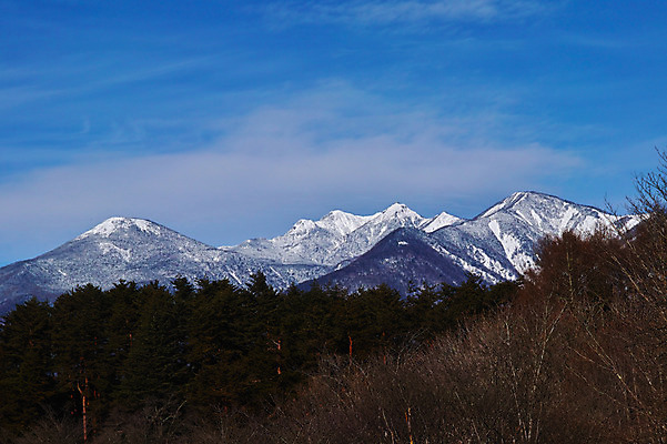 포토 JPG 주간 나무 구름 겨울 자연 하늘 산 풍경 사람없음 야외 눈 만년설 겨울풍경 국내포토 자연요소 식물 계절 날씨 생태계 파일형식
