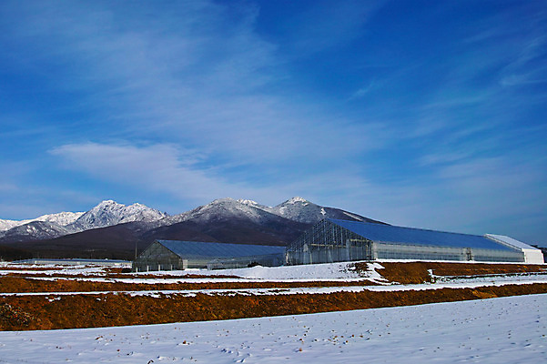 포토 JPG 주간 구름 겨울 자연 하늘 산 풍경 사람없음 야외 농촌 눈 비닐하우스 겨울풍경 국내포토 자연요소 계절 농업 날씨 시골 생태계 파일형식