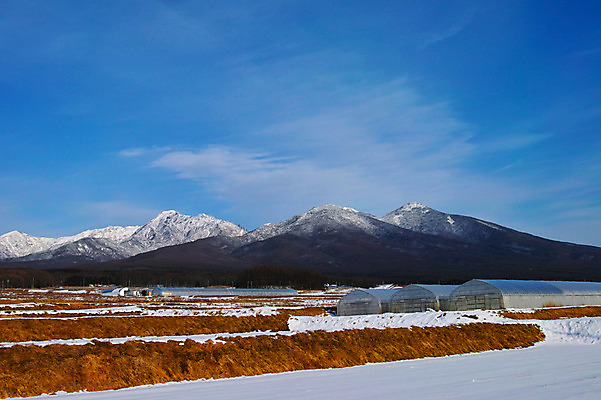 포토 JPG 주간 구름 겨울 자연 하늘 산 풍경 사람없음 야외 농촌 눈 비닐하우스 겨울풍경 국내포토 자연요소 계절 농업 날씨 시골 생태계 파일형식