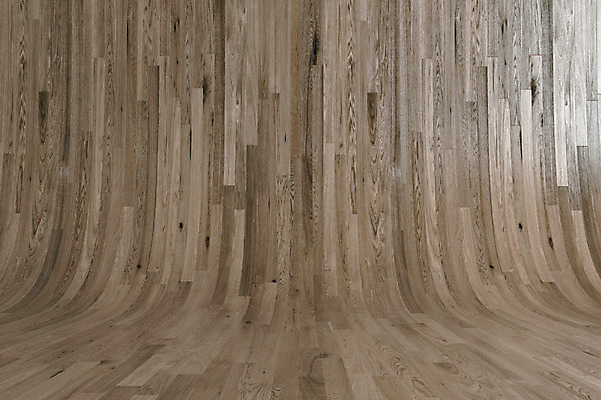 JPG 나무 편집 편집이미지 백그라운드 사람없음 목재 나뭇결 3D 디지털합성 질감 목업 편집3D 식물 재료 파일형식