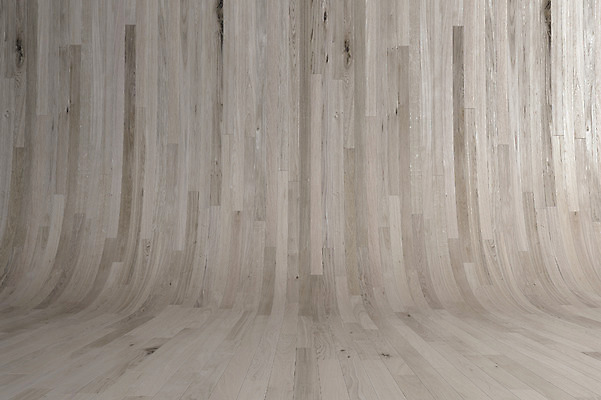 JPG 나무 편집 편집이미지 백그라운드 사람없음 목재 나뭇결 3D 디지털합성 질감 목업 편집3D 식물 재료 파일형식