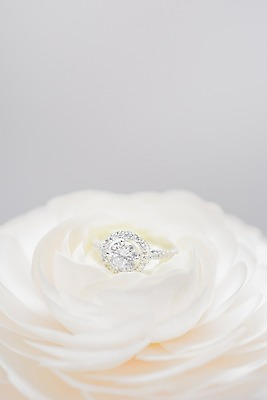 포토 JPG 꽃 결혼 백그라운드 사람없음 공백 오브젝트 결혼반지 결혼소품 카피스페이스 국내포토 식물 이벤트 반지 파일형식