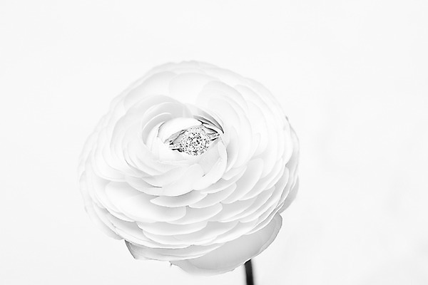 포토 JPG 꽃 결혼 백그라운드 흑백 사람없음 공백 오브젝트 결혼반지 결혼소품 카피스페이스 국내포토 식물 촬영기법 이벤트 반지 파일형식