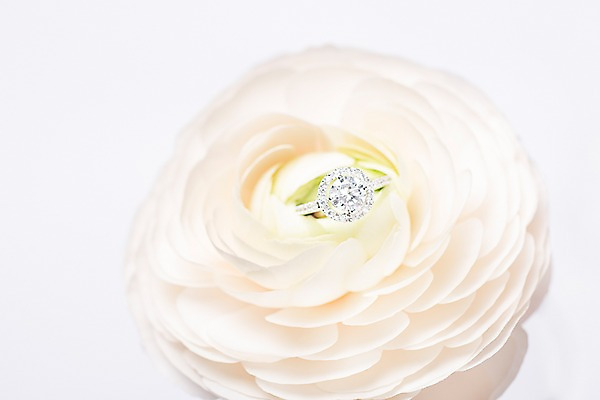 포토 JPG 꽃 결혼 백그라운드 사람없음 공백 오브젝트 결혼반지 결혼소품 카피스페이스 국내포토 식물 이벤트 반지 파일형식