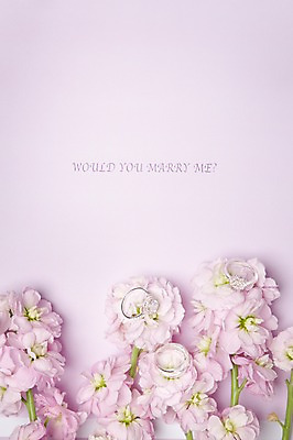 포토 JPG 꽃 결혼 백그라운드 프로포즈 사람없음 공백 오브젝트 결혼반지 결혼소품 카피스페이스 국내포토 식물 이벤트 반지 파일형식