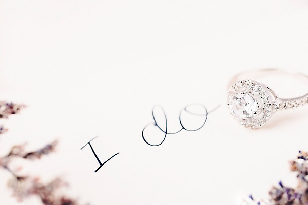 포토 JPG 꽃 결혼 백그라운드 프로포즈 사람없음 공백 승낙 오브젝트 결혼반지 결혼소품 카피스페이스 국내포토 식물 컨셉 이벤트 반지 파일형식