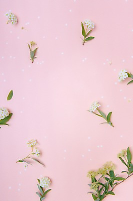 포토 JPG 꽃 결혼 백그라운드 프레임 사람없음 공백 오브젝트 결혼소품 카피스페이스 국내포토 식물 이벤트 파일형식