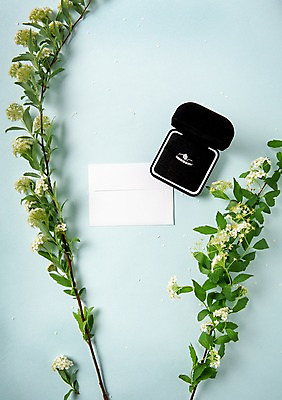 포토 JPG 꽃 결혼 백그라운드 사람없음 공백 오브젝트 결혼반지 결혼소품 반지케이스 카피스페이스 국내포토 식물 이벤트 반지 보관함 파일형식