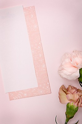 포토 JPG 꽃 결혼 백그라운드 사람없음 공백 오브젝트 청첩장 결혼소품 카피스페이스 국내포토 식물 카드_감사 이벤트 파일형식