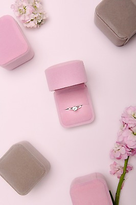 포토 JPG 꽃 결혼 백그라운드 사람없음 공백 오브젝트 결혼반지 결혼소품 반지케이스 카피스페이스 국내포토 식물 이벤트 반지 보관함 파일형식