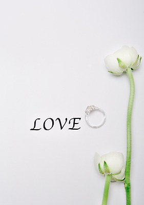 포토 JPG 꽃 결혼 백그라운드 사랑 사람없음 공백 오브젝트 결혼반지 결혼소품 카피스페이스 국내포토 식물 감정 이벤트 반지 파일형식