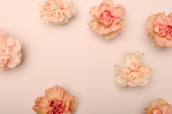 포토 JPG 꽃 결혼 백그라운드 사람없음 공백 오브젝트 결혼소품 카피스페이스 국내포토 식물 이벤트 파일형식