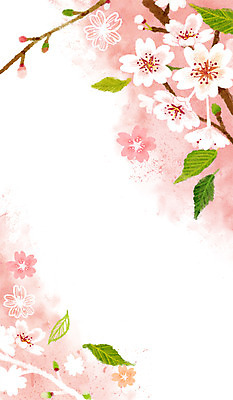 PSD 분홍색 백그라운드 꽃백그라운드 일러스트 나뭇잎 사람없음 봄 벚꽃 벚나무 계절백그라운드 꽃축제 벚꽃축제 봄배경 국내일러스트 나무 계절 꽃 컬러 잎 축제 파일형식