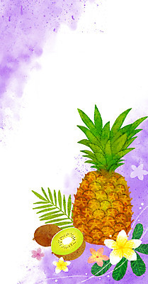 PSD 꽃 백그라운드 일러스트 나뭇잎 키위 사람없음 여름 보라색 파인애플 열대과일 계절백그라운드 프랜지파니 여름배경 국내일러스트 식물 계절 컬러 잎 과일 파일형식