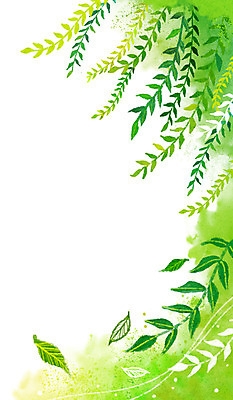 PSD 백그라운드 일러스트 바람 나뭇잎 사람없음 초록색 여름 버드나무 계절백그라운드 버들가지 버들잎 여름배경 국내일러스트 자연요소 나무 계절 컬러 잎 날씨 파일형식