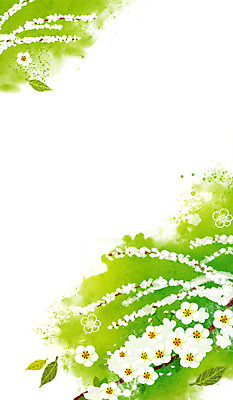 PSD 꽃 백그라운드 꽃백그라운드 일러스트 나뭇잎 사람없음 초록색 봄 계절백그라운드 꽃축제 이팝꽃축제 조팝나무 조팝나무꽃 봄배경 국내일러스트 나무 식물 계절 컬러 잎 축제 파일형식