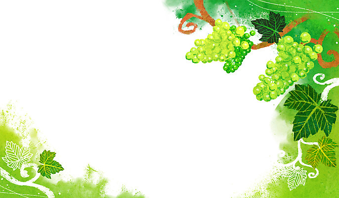 PSD 열매 백그라운드 일러스트 나뭇잎 사람없음 초록색 여름 청포도 포도나무 계절백그라운드 여름배경 국내일러스트 식물 계절 컬러 잎 포도 과일나무 파일형식