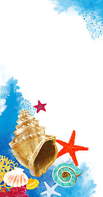 PSD 백그라운드 일러스트 불가사리 사람없음 여름 파란색 산호 소라 시원함 고둥 가리비 계절백그라운드 여름배경 국내일러스트 계절 컬러 조개 어패류 극피동물 자포동물 파일형식