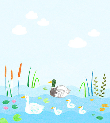 PSD 동물 구름 호수 백그라운드 여러마리 일러스트 가족 하늘 오리 사람없음 수중식물 연잎 국내일러스트 자연요소 식물 다수 잎 관계 조류 파일형식