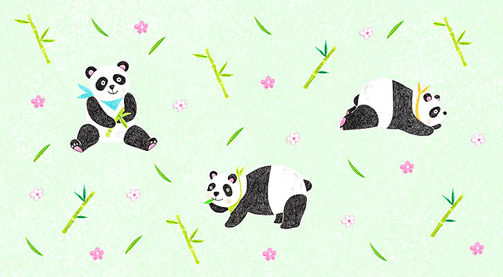 PSD 동물 꽃 백그라운드 패턴 일러스트 세마리 사람없음 아기 판다 대나무 국내일러스트 나무 식물 무늬 곰 3 사람 파일형식