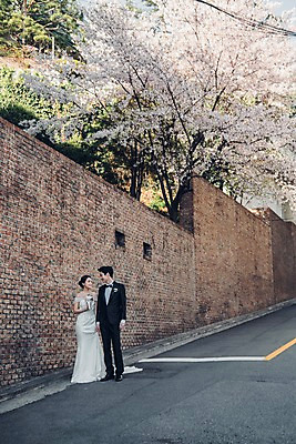 포토 JPG 주간 전신 커플 응시 여자 남자 신부 웨딩드레스 신랑 결혼 신혼부부 사랑 서기 웃음 정장 턱시도 20대 성인 야외 두명 앞모습 담장 팔짱 한국인 벚꽃 성인만 국내포토 자연요소 부부 시선 드레스 옷 꽃 감정 뷰포인트 관계 모션 표정 사람 동양인 이벤트 청년 신혼 파일형식