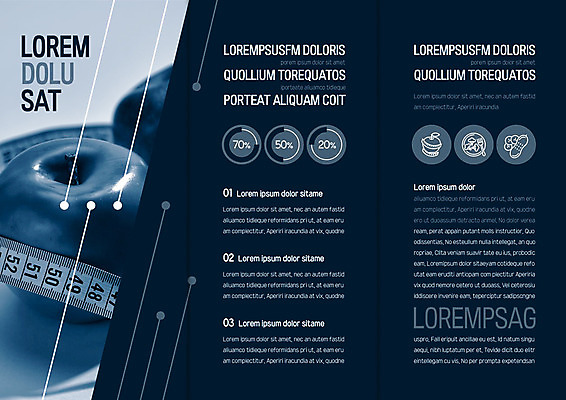 템플릿 편집 표지디자인 북디자인 출판디자인 내지 리플렛 다이어트 북커버 3단접지 그래프 줄자 팜플렛 사람없음 뷰티 사과 이미지템플릿 AI파일 과일 자 건강 파일형식 벡터