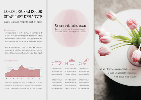 템플릿 편집 표지디자인 북디자인 출판디자인 내지 리플렛 북커버 3단접지 탁자 그래프 팜플렛 사람없음 꽃병 튤립 이미지템플릿 AI파일 꽃 가구 파일형식 벡터