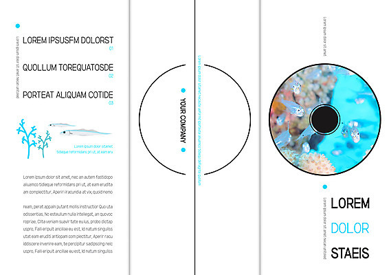 템플릿 편집 표지디자인 북디자인 출판디자인 표지 리플렛 바다 북커버 여러마리 3단접지 자연 어류 팜플렛 사람없음 환경 이미지템플릿 AI파일 다수 수중동물 생태계 파일형식 벡터