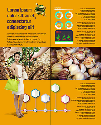 PSD 외국인 템플릿 편집 표지디자인 북디자인 손 출판디자인 내지 리플렛 2단접지 북커버 식재료 마늘 서기 팜플렛 20대 성인 두명 신체부위 라벨 흙 수확 장바구니 에코 유기농 대파 열무 그린슈머 이미지템플릿 웰빙 농업 채소 모션 프레임 사람 인종 청년 쇼핑 바구니 환경 무 파 파일형식