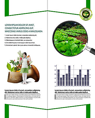 PSD 템플릿 편집 표지디자인 북디자인 출판디자인 여자 내지 리플렛 밭 2단접지 북커버 식재료 돋보기 그래프 피망 나뭇잎 한명 서기 팜플렛 20대 성인 라벨 버섯 한국인 배추 유기농 주부 성인여자한명만 이미지템플릿 1 웰빙 잎 농업 채소 모션 프레임 사람 동양인 청년 여자한명만 성인여자만 파일형식