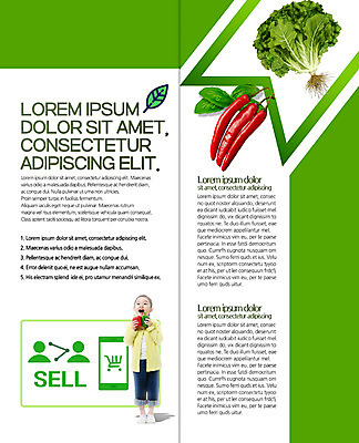 PSD 템플릿 편집 표지디자인 북디자인 출판디자인 여자 내지 어린이 리플렛 채소 2단접지 북커버 피망 한명 서기 팜플렛 스마트폰 한국인 상추 유기농 홍고추 직거래 소녀만 이미지템플릿 1 웰빙 모션 고추 사람 동양인 핸드폰 스마트기기 거래 배송 여자만 어린이만 파일형식